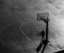 Make Your Backyard a Basketball Haven by Selecting the Best Melbourne Basketball Court Builders